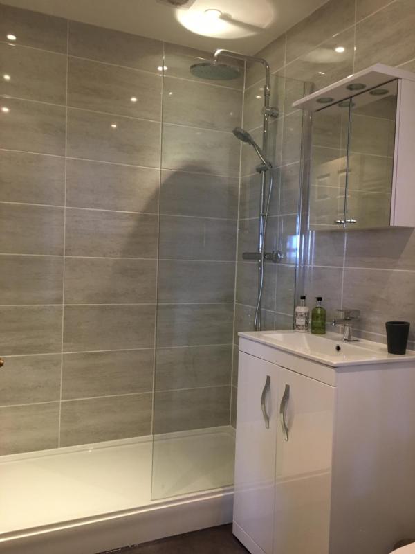 One-Bedroom Apartment image 2