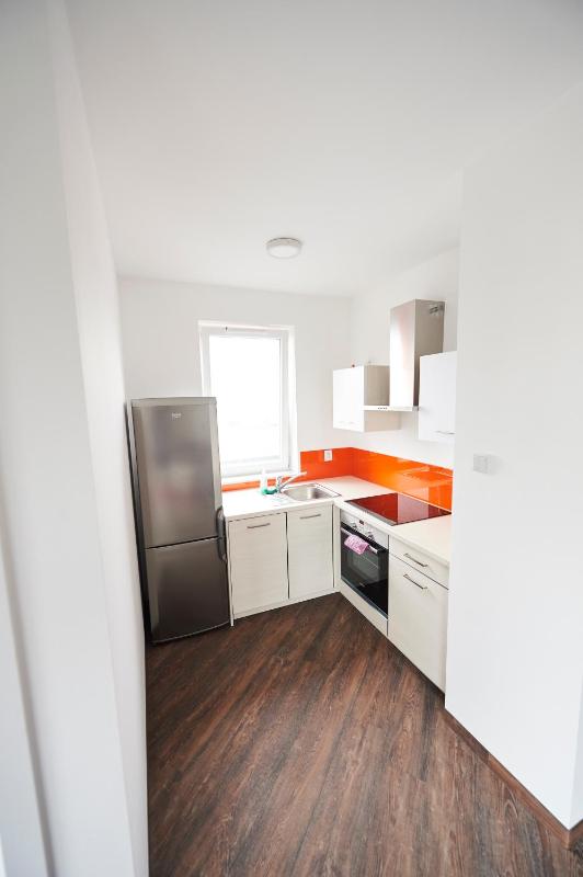 One-Bedroom Apartment image 3