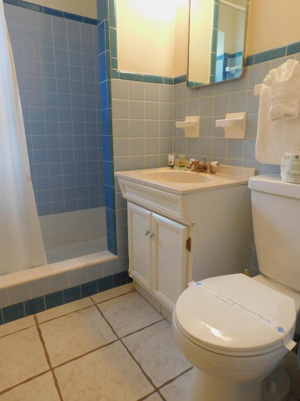 Apartment - Ground Floor image 4