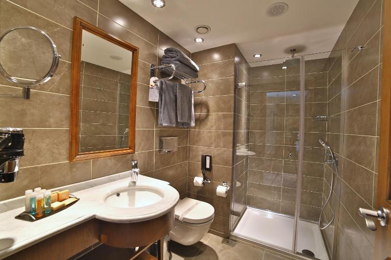 Deluxe Single Room image 2