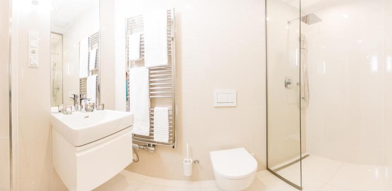 One-Bedroom Apartment image 3