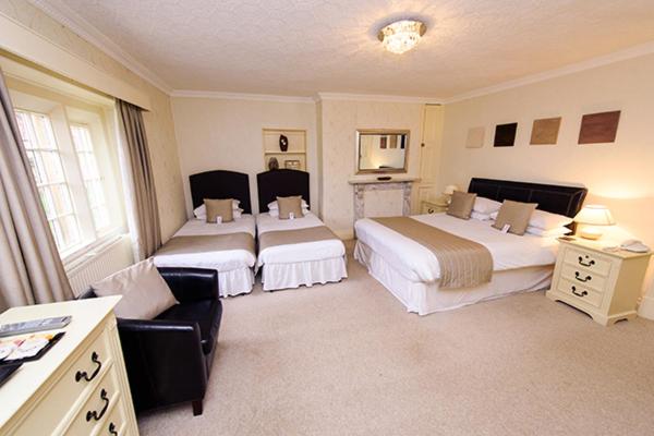 Superior Double Room image 4