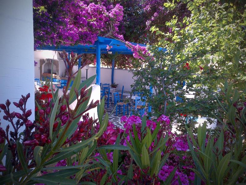 Pelagos Studios - image 19