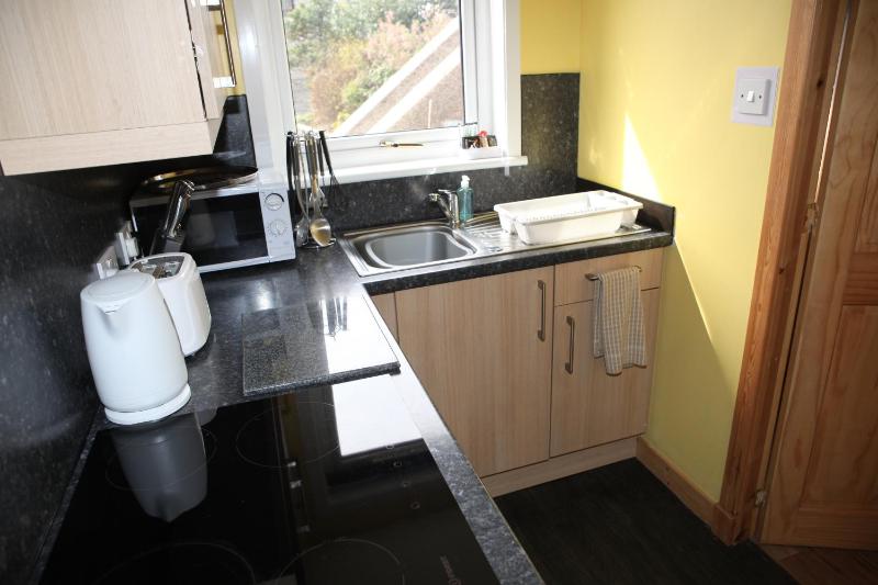 One-Bedroom Apartment image 3