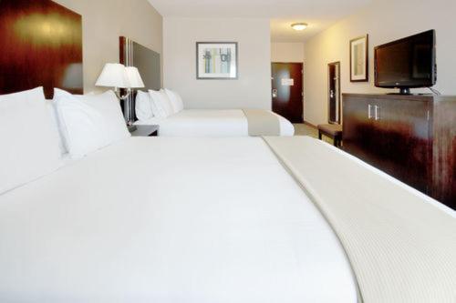 Holiday Inn Express Hotel & Suites Houston NW Beltway 8-West Road By IHG - image 13