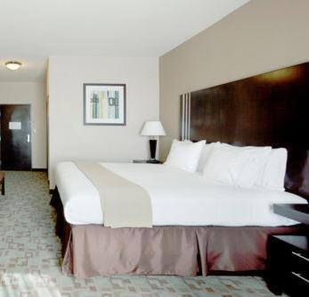 Holiday Inn Express Hotel & Suites Houston NW Beltway 8-West Road By IHG - image 6