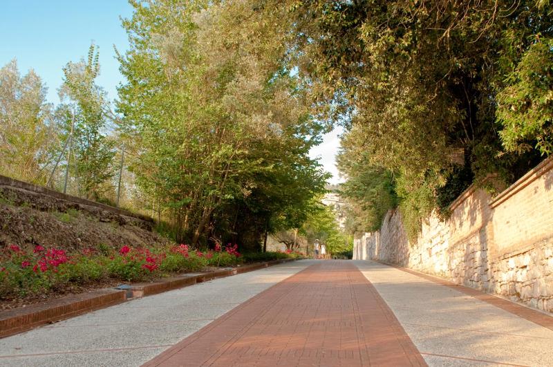 Assisi Garden - image 47