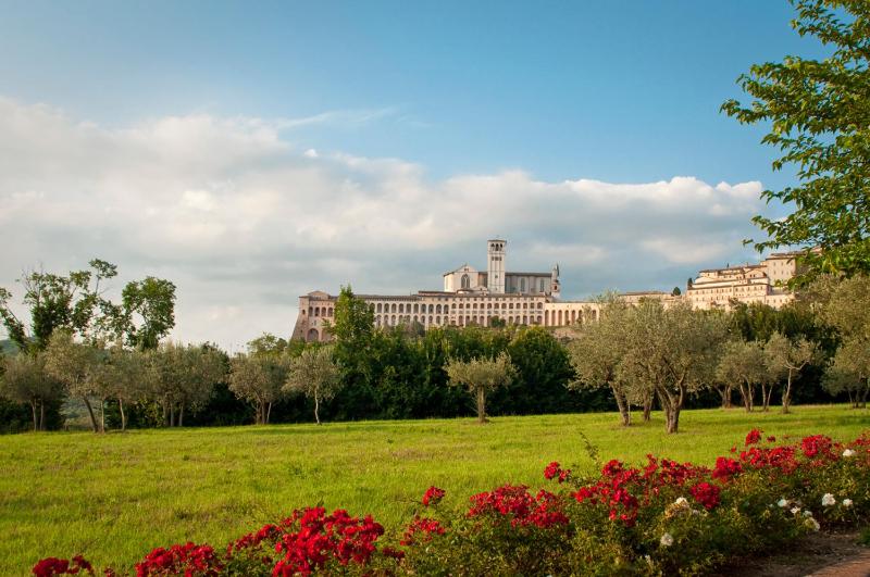 Assisi Garden - image 13