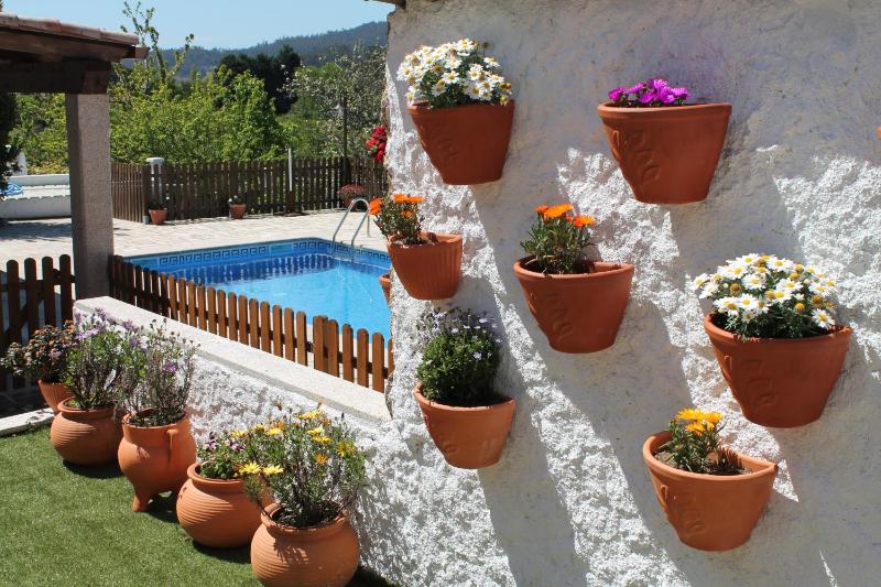 Casa Susa - image 12