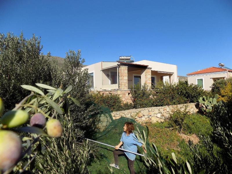 Superior Villa with Sea View image 1