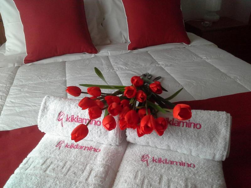 Kiklamino Sunset Suites - image 37