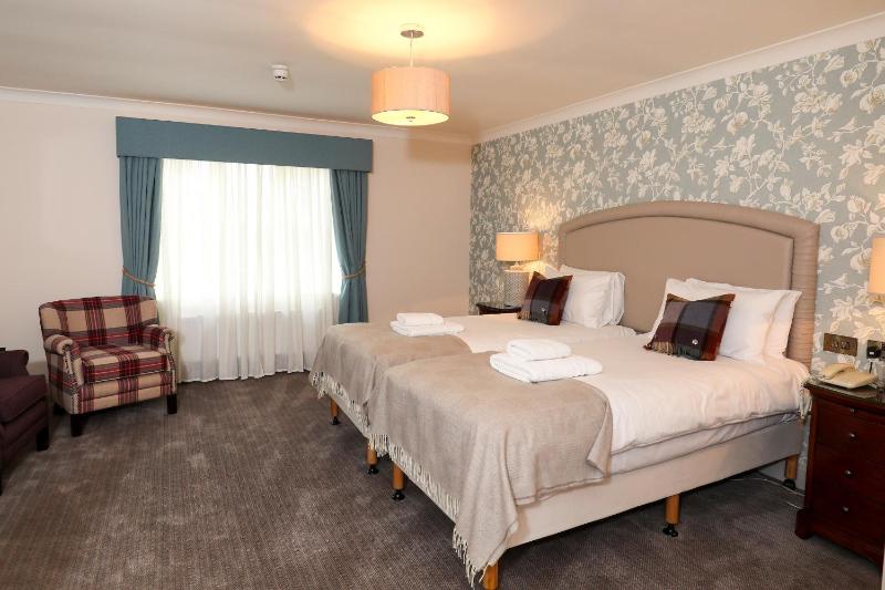 Superior Double or Twin Room image 3