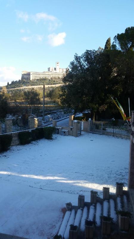Assisi Garden - image 10