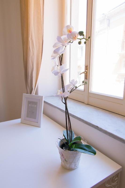 One-Bedroom Apartment image 2