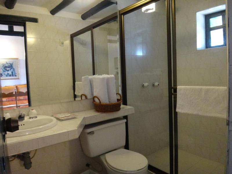 Hotel Hospederia San Carlos Villa De Leyva - image 19