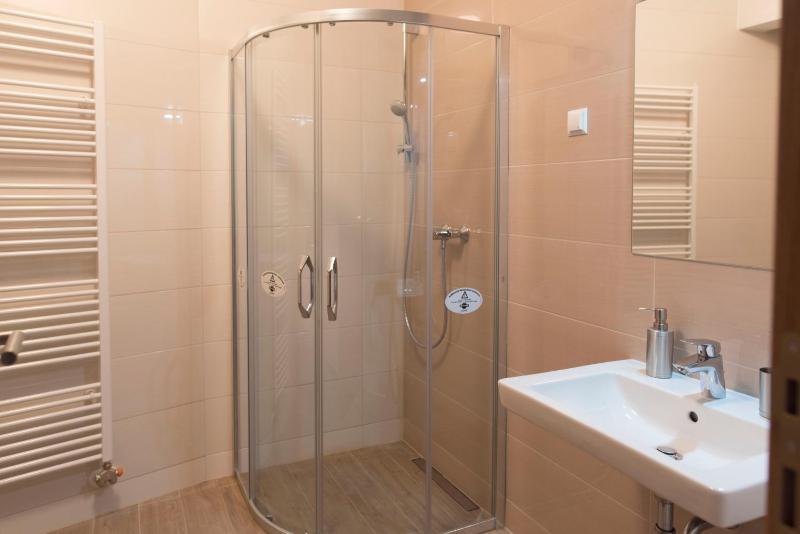 One-Bedroom Apartment image 3