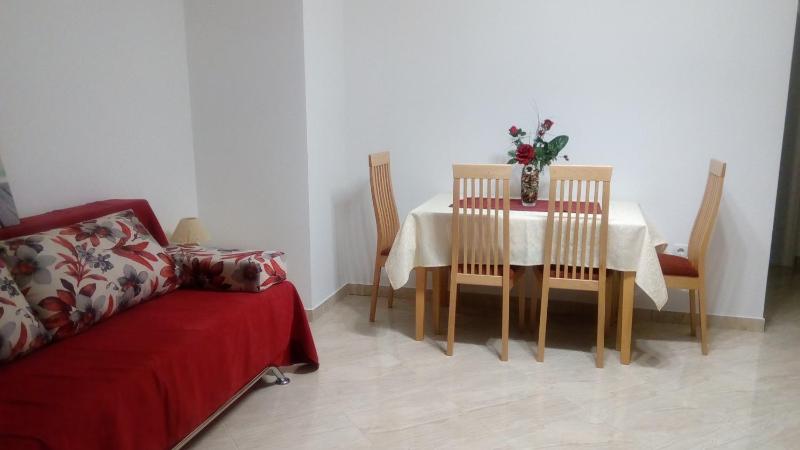 One-Bedroom Apartment image 3