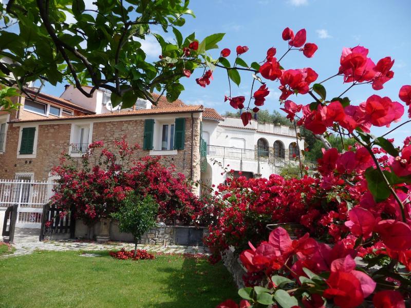 Cà dei Conti Images