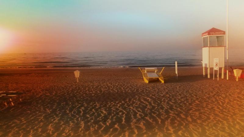 Hotel Camelia - image 22