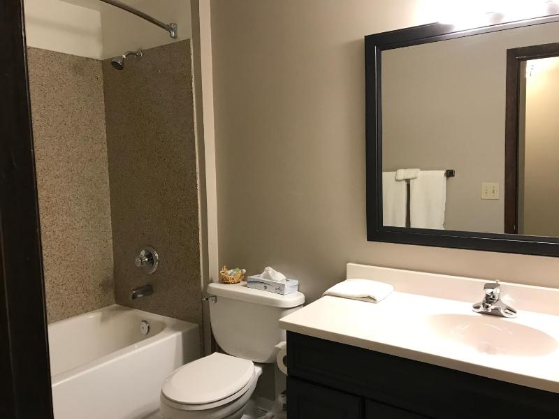 One-Bedroom Apartment image 3