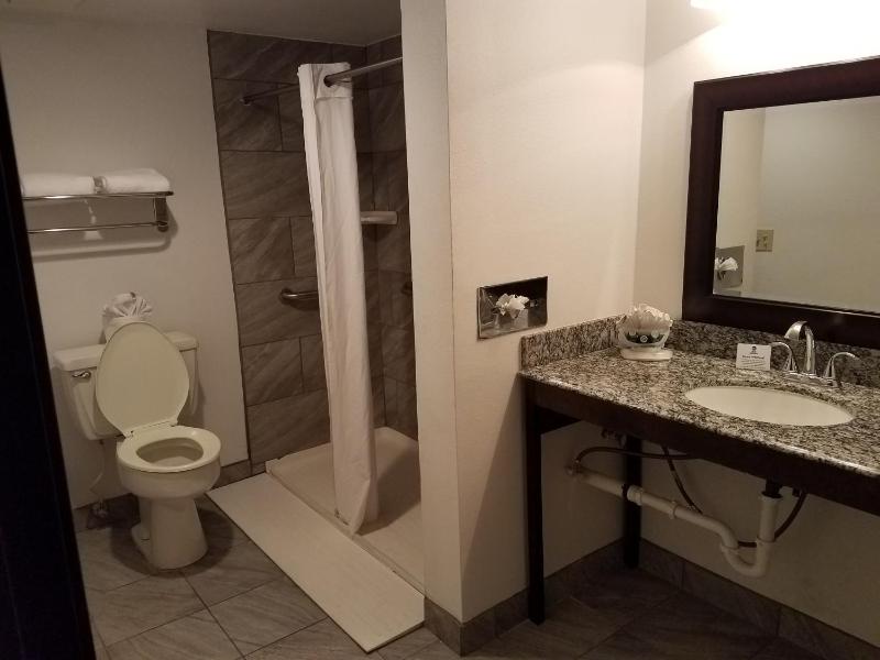 Queen Room with Walk-In Shower - Disability Access image 2