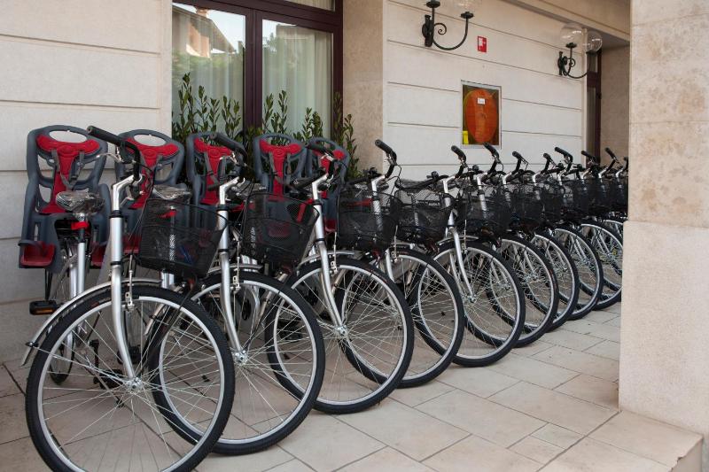Hotel Villa Venezia - image 19