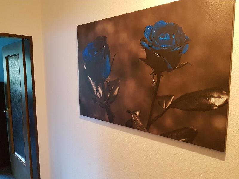 Apartment image 3