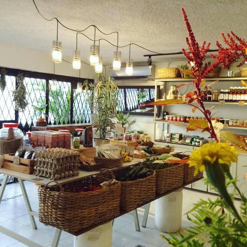 Cinco Hotel B&B - image 7