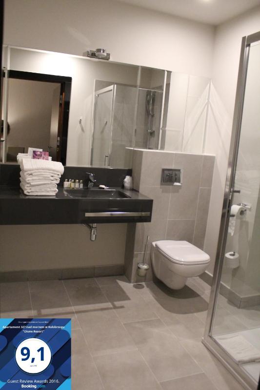 Deluxe One-Bedroom Apartment image 3