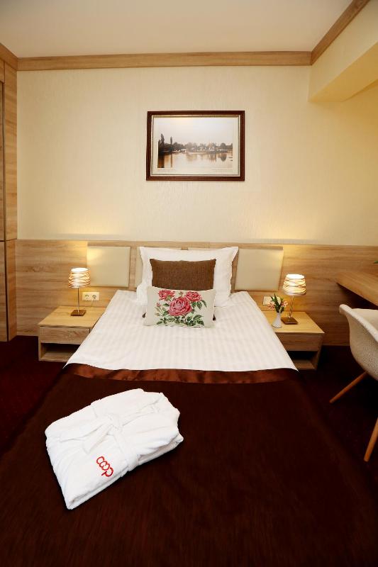 Deluxe Single Room image 2