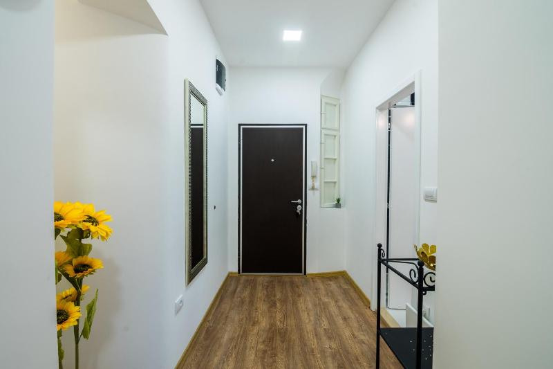 One-Bedroom Apartment image 4