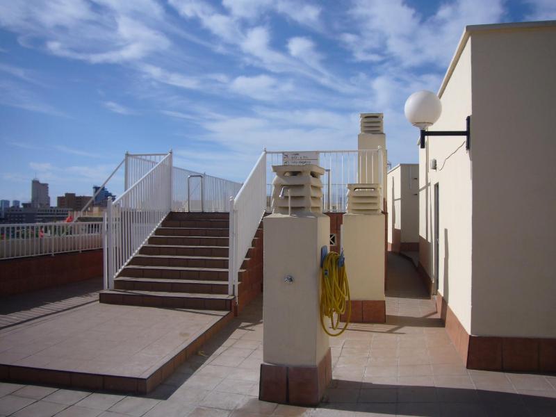 Gemelos 11 - Fincas Arena - image 8