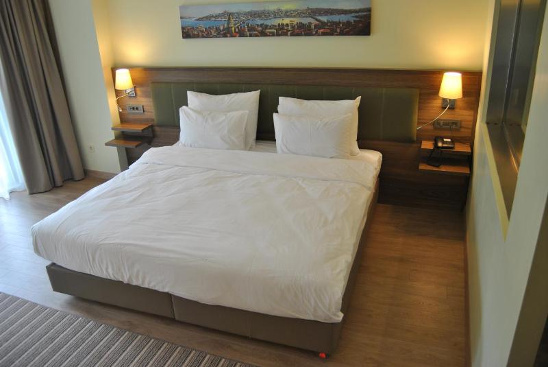 Deluxe Double or Twin Room image 2