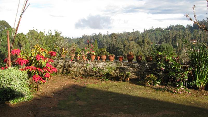 Maruti Villa - image 31