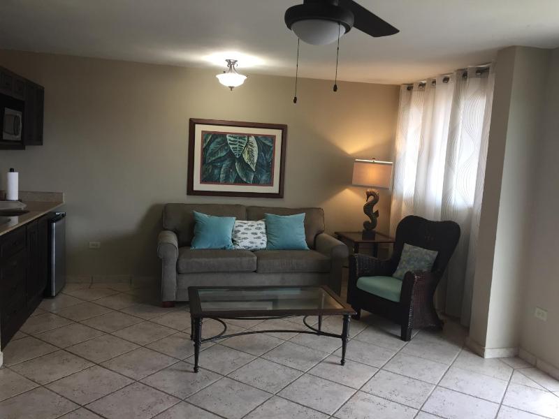 One-Bedroom Apartment image 2