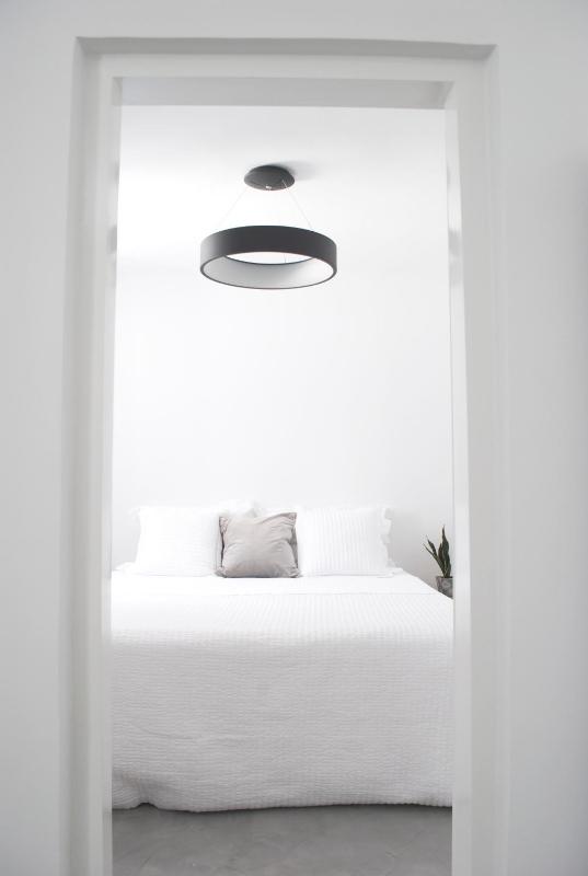 Apartment - Courtyard access with street view, Semi - Basement image 2