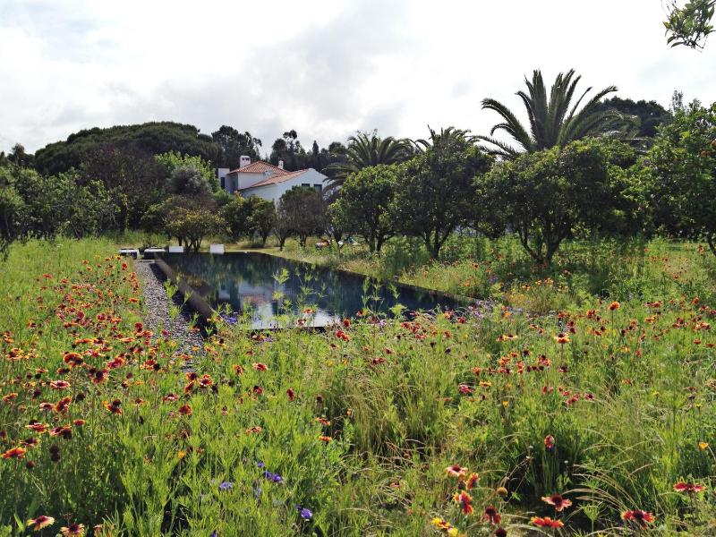 Quinta Do Miguel - image 30