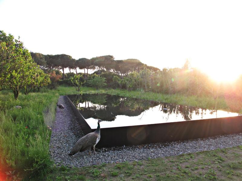 Quinta Do Miguel - image 43