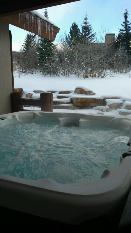 Park City Homes by White Pines Solamere - image 11
