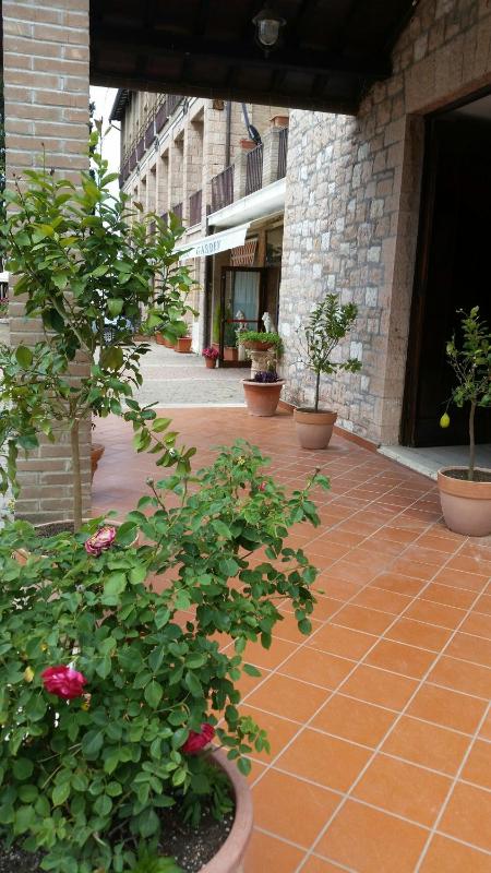 Assisi Garden - image 9