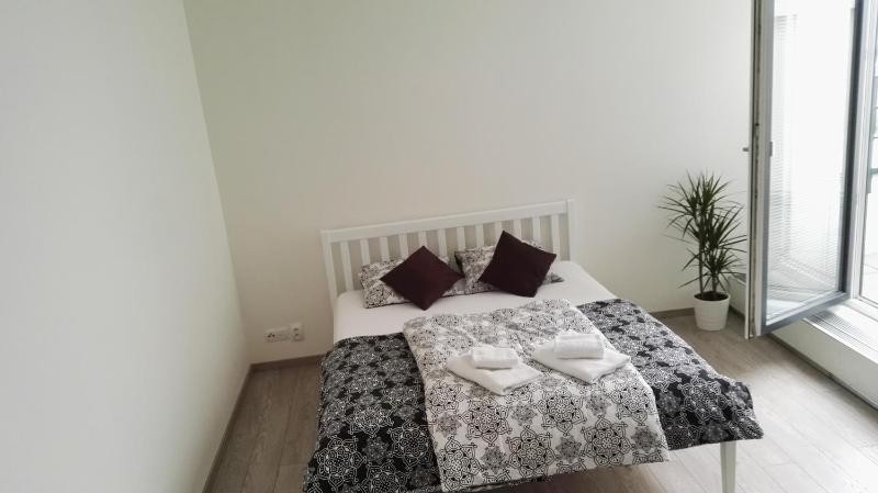 Deluxe Apartment image 3