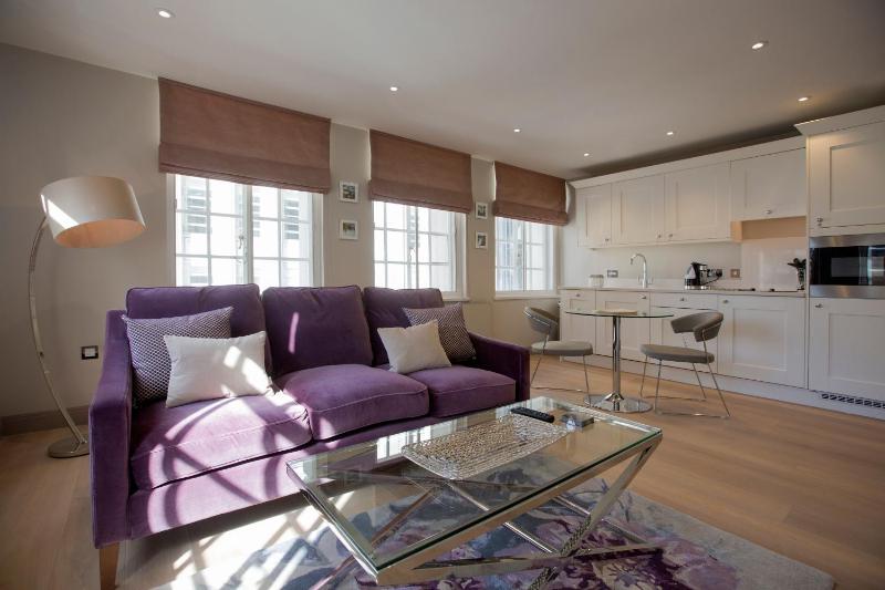No.8 Waterloo Street - image 38