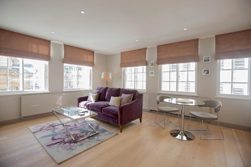 No.8 Waterloo Street - image 49