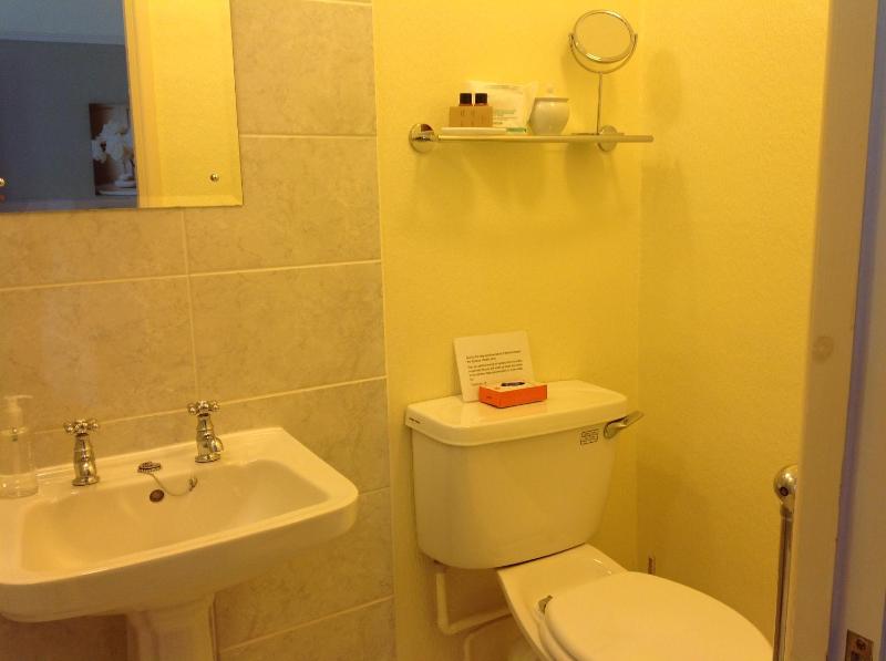 Premier King Room image 2