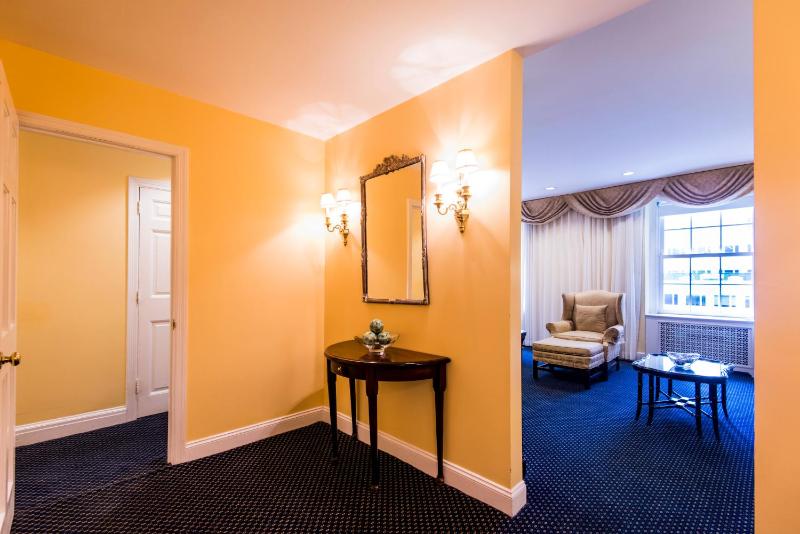 Deluxe King Suite image 4