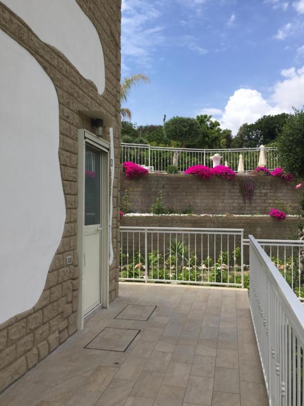 Studio with Garden View image 4