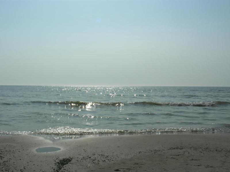 Villa Apartments by the sea - image 32