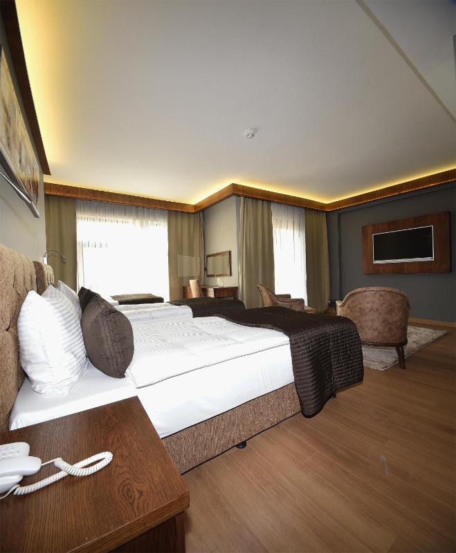 Deluxe Twin Room image 3