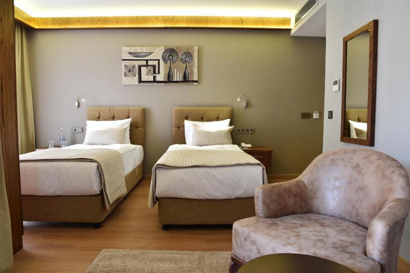 Deluxe Twin Room image 2