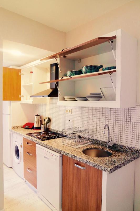 One-Bedroom Apartment (2 Adults + 1 Child) image 4